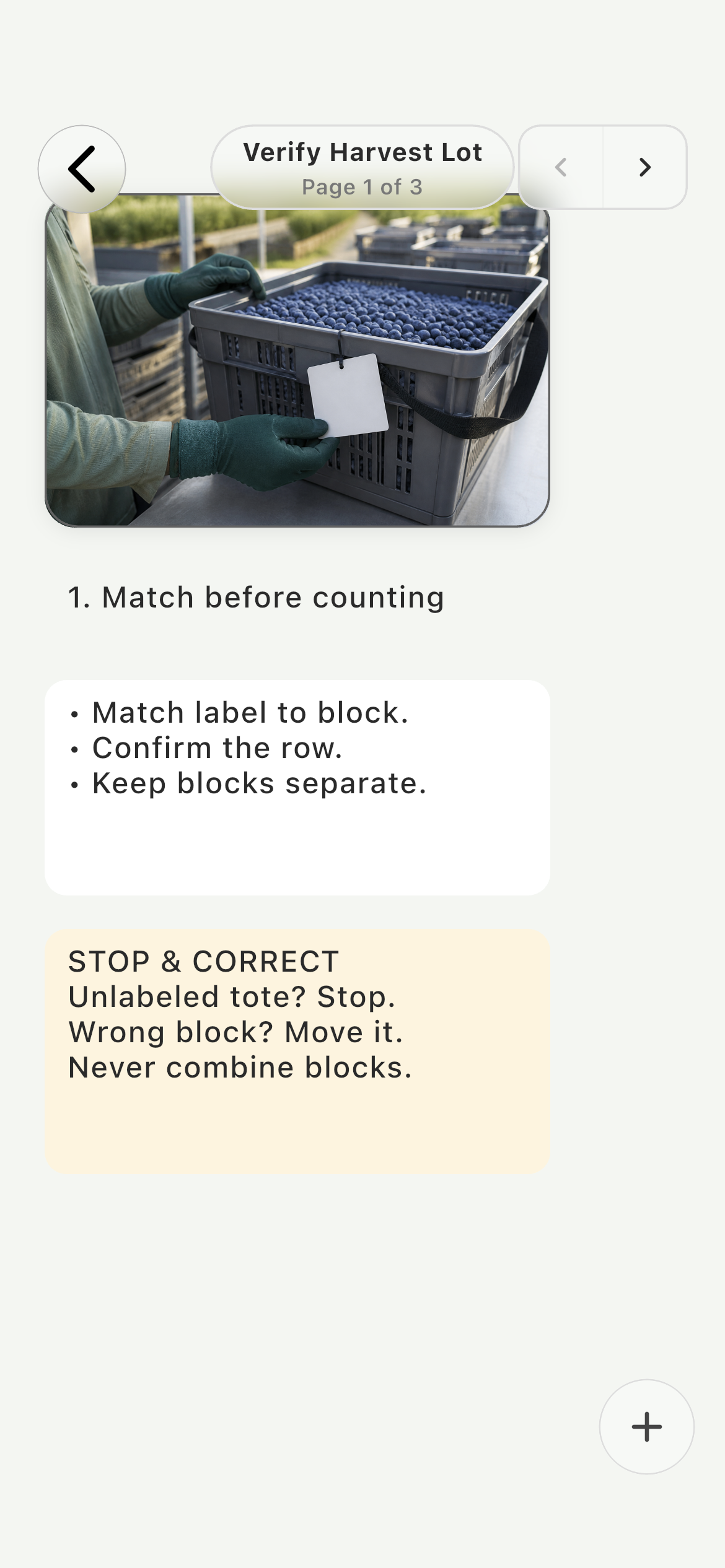 Farmroute visual SOP instruction page explaining how to verify a labeled blueberry harvest tote